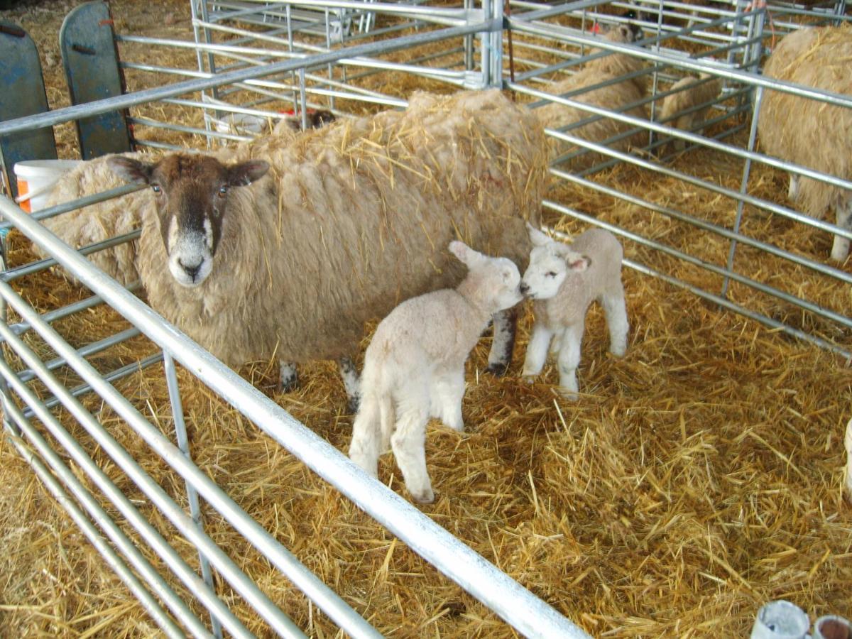 Church Farm Stratford-upon-Avon Dış mekan fotoğraf